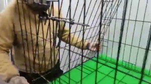 Клетка/вольер для собак, щенков №6 Лайт (107х72х72). Видеоинструкция по сборке.