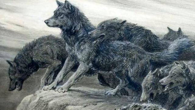 Идея для подарка . Поляризационные очки . Алиэкспресс. смотреть онлайн