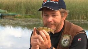 Воблеры IZUMI Изуми   Япония