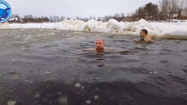 #косаткасеверодвинск смотреть онлайн