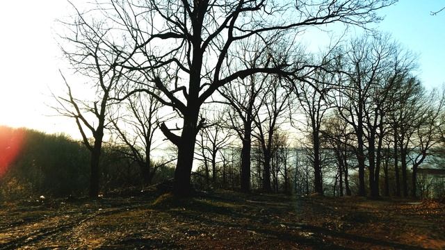 Nikon Coolpix L830 смотреть онлайн