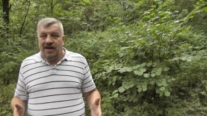 Консервирование. Автоклав. Зачем нужен автоклав.