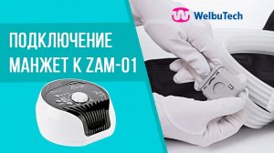 Как подключить манжеты к лимфодренажному аппарату Welbutech Zam-01?