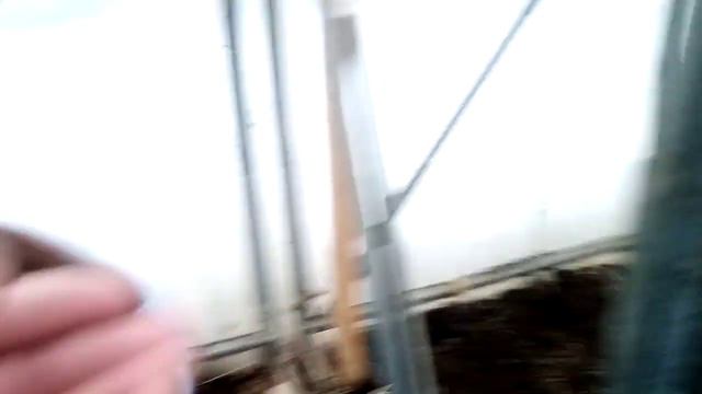 18Пасадка травы ботвы