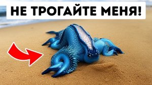 Если вы увидите одно из этих существ, бегите! + другие советы по спасению жизни!