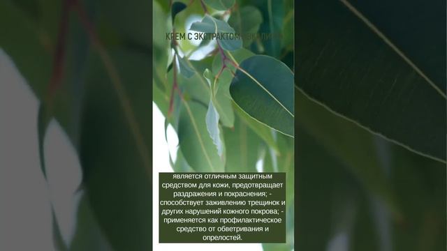 ERSAG крем с экстрактом эвкалипта и ромашки смотреть онлайн