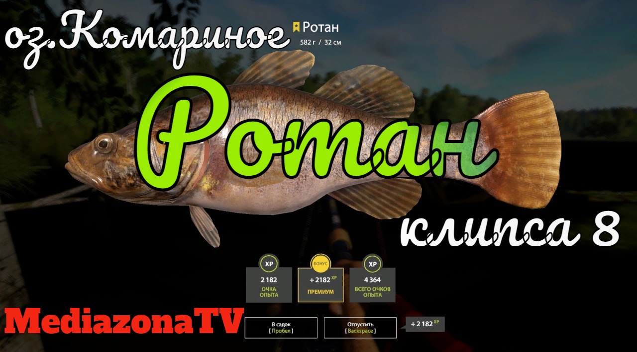 Русская Рыбалка 4 Где Клюет  оз.Комариное Ротан 01.03.23
