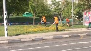 Москва. Стрижка газона клюшками (12.05.2016 г.)