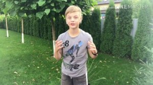 ТОП 6 фактов о мини Бультерьерах.