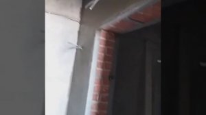 Слаженная работа