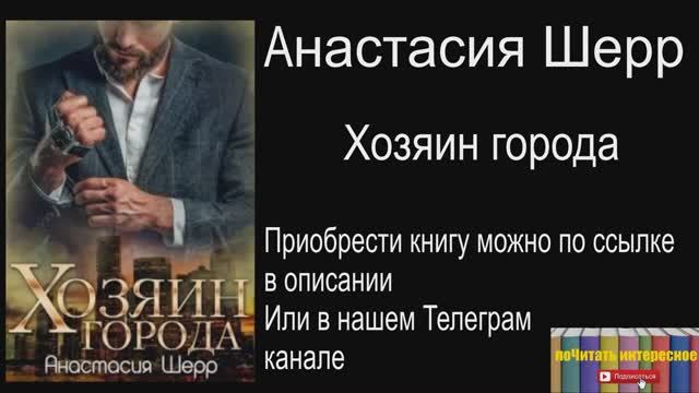 Книга: Анастасия Шерр - Хозяин города смотреть онлайн