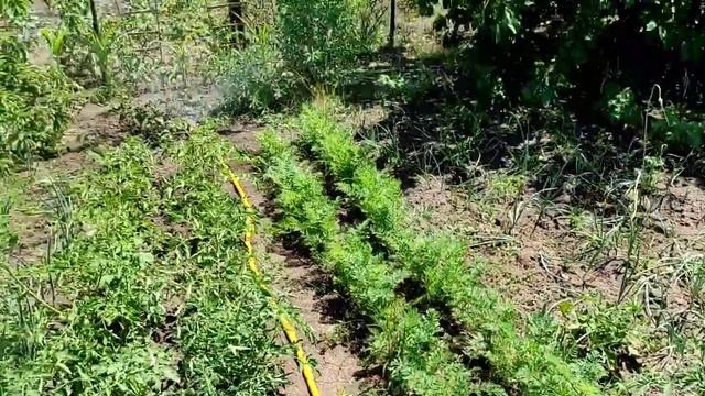 Опять домашние дела, сижу дома. смотреть онлайн