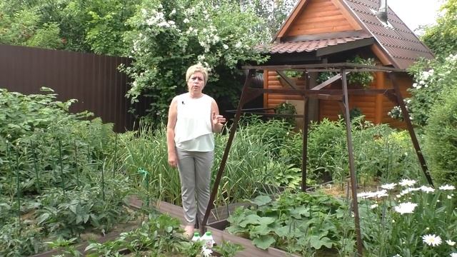 ПРОВЕРЬТЕ СВОИ ОГУРЦЫ, ВДРУГ У ВАС ЭТО ЗАБОЛЕВАНИЕ!!!