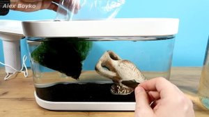 Аквариум XIAOMI Часть 3. Креветки, Растения и новый живой корм! alex boyko