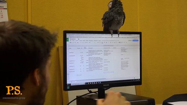 Как выбрать правильное место и помещение для бизнеса? Геомаркетинг. Стрит ритэйл маркетинг. смотреть онлайн