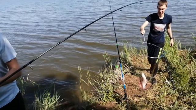 Рыбалка на пруду Нью-Васюки смотреть онлайн