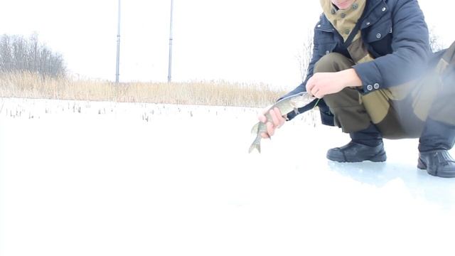 Рыбалка под Напряжением!!! смотреть онлайн