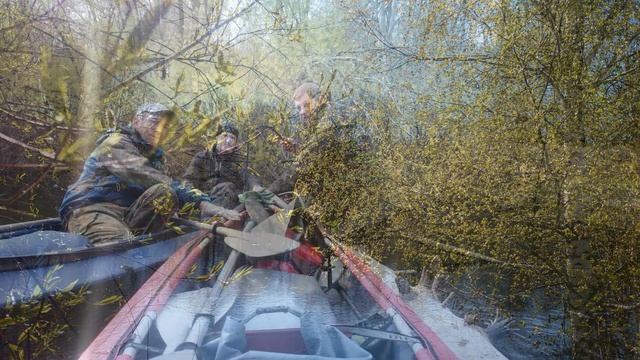 бобры 2017 смотреть онлайн