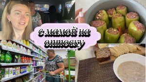 VLOG: КУПИЛИ МЕД/С МАМОЙ НА ОПТОВКУ/ЦЕНЫ НА ПРОДУКТЫ