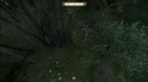 Kingdom Come где найти много белладонны.