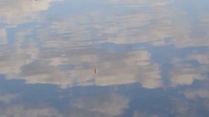 Река Десна. Девятское. Летняя рыбалка на микроречке на поплавок и донку.