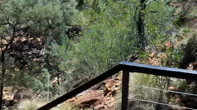 Красный Центр | Мухи | Австралия смотреть онлайн