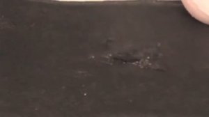 Жидкая кожа premium - ремонт зацепок и царапин от когтей животных