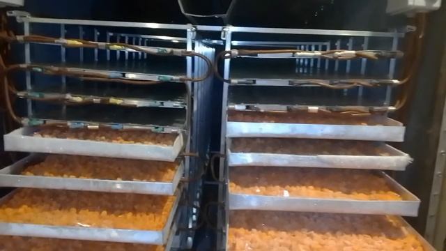 Сублимационные сушильные шкафы ПИЩЕВЫЕ ЛИОФИЛЬНЫЕ СУШИЛКИ - Сушильные шкафы для сушки фруктов