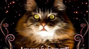 А НЕ ПОРА ЛИ БАИНЬКИ