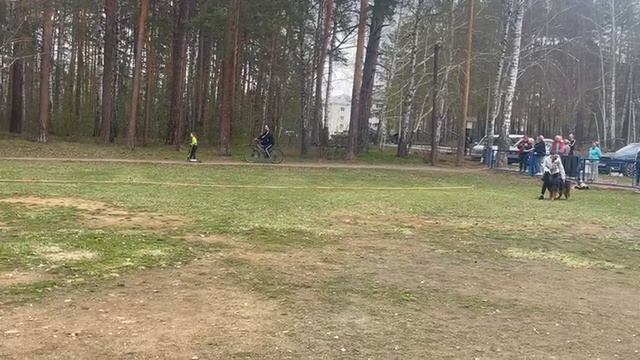 5.  выражено/пож ПАНДОРА ИЗ БЕЛОГО ЯРА (De Orse Mak Flai Avatar – Барселона Из Белого Яра)