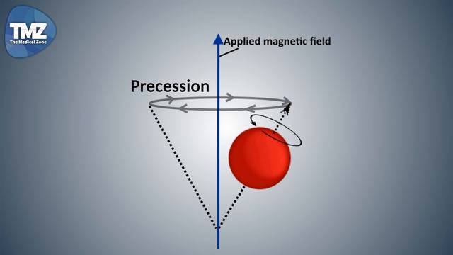 MRI | Introduction In the Physics of MRI and It's Clinical Relevance смотреть онлайн