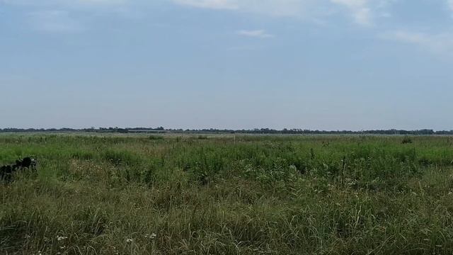 Жизнь на юге🔥 много природы😍