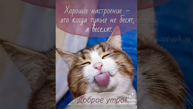 С пятницей!