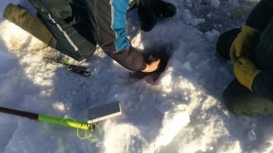 Рыбалка лучший отдых)))Талакан Амурская область Дальний восток 2020.