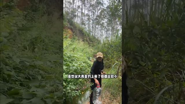 美女野居探钓摔进水里，这里的大青都很有力，最后大青连竿满载而归！【女钓友微微】 смотреть онлайн