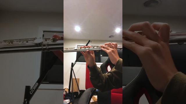 Does the flute or piccolo sound better? (Army of Angels)