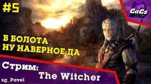 Wiedźmin [The Witcher / Ведьмак | ПРОХОЖДЕНИЕ #5 / GaGs]