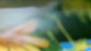 Я хочу узнать(Почему, почему мы любим то, что вкусно?Почему, почему в реке журчит вода?(наброски)