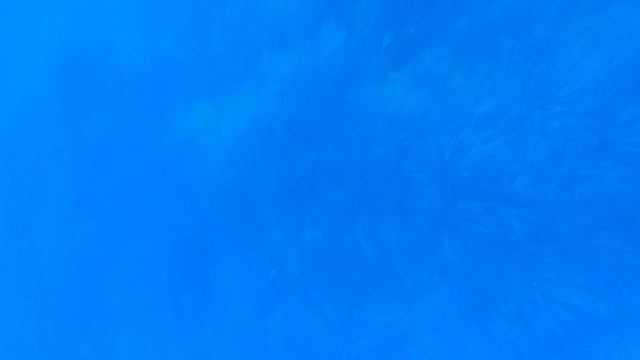 Нырялка в Черногории, фридайвинг 17.5 метра, маленький Вася под водой. смотреть онлайн