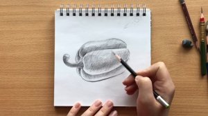 Рисунок болгарского перца карандашом с натуры | Bulgarian pepper pencil drawing from nature