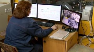 Как делается порох.