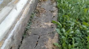 реанимация дома из шлака.