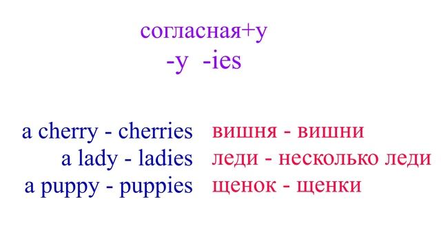 Образование множественного числа в английском языке