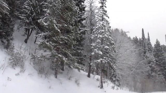 Замело старый сад - Автор Лариса Адианова музыка и поёт Николай Ананьев смотреть онлайн