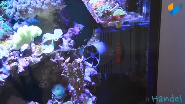 Eheim Strömungspumpe streamON+ | Review | Meerwasser Live TV смотреть онлайн
