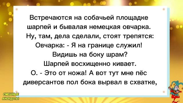 ?Лев очертил свою территорию!Смешные анекдоты!Смех!Юмор!Подборка весёлых Анекдотов!