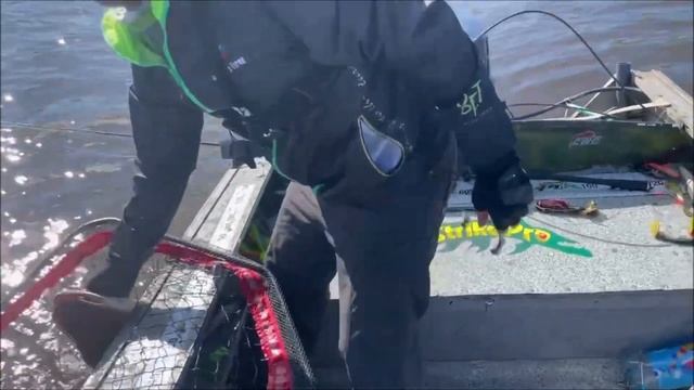 Мышки на Севере! Щучьи танцы с Big Miuras Mouse! смотреть онлайн