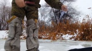 Ловля живца на косынку.