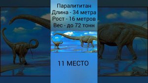 ТОП - 20 САМЫХ КРУПНЫХ ТРАВОЯДНЫХ ДИНОЗАВРОВ