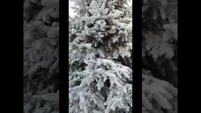 зимняя сказка около дома смотреть онлайн